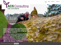 acsconsulting.co.uk Thumbnail