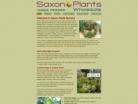 saxonplants.co.uk