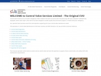 controlvalveservices.co.uk Thumbnail