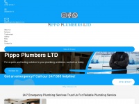 pippoplumbers.co.uk