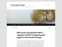 Transcriptase-signal.com