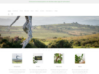 Mapletreespaces.co.uk