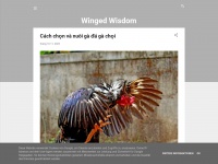 Wingedwisdom2023.blogspot.com