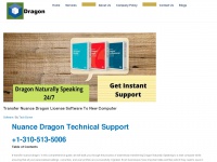 Dragonsupportservice.us