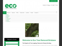 Ecotreeremovalbrisbane.com.au