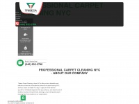 Tribeca-carpet-cleaning.com