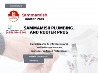 sammamishplumbers.com