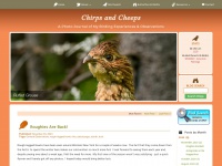 Chirpsandcheeps.com