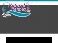 Naturalscapesasheville.com