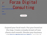 Forzadigitalconsulting.com