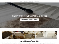 Parmacarpetcleaning.com