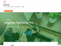 Brightonplumbingco.com