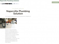 Napervilleplumbingsolution.com