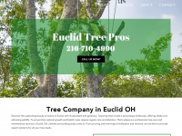 Euclidtree.com