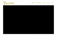 Cobos-technology.com