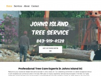 Johnsislandtreeservice.com