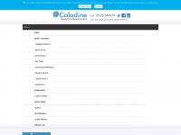caladine.co.uk Thumbnail