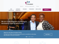 Nynjmsdc.org