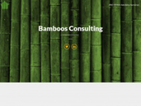 bamboos-consulting.com