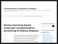 transmembranetransportersinhibitors.com Thumbnail
