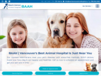 Beachavenueanimalhospital.ca