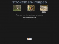 strokeman.co.uk