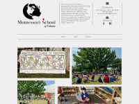 Msofy.org