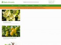 plants4presents.co.uk Thumbnail