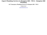 Hamptonhillplumbing.co.uk