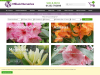 rhododendrons.co.uk Thumbnail
