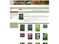 Broadleigh-bulbs-spring.co.uk