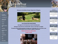 Ashvillebur.co.uk