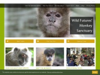 monkeysanctuary.org Thumbnail