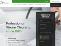 Torontosteamnclean.ca