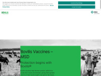 Bovilis.co.nz