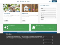 Home-options.org