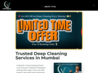 vishwanathcleaning.in