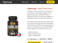 vigorlang.com