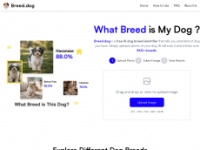breed.dog