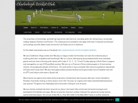 chulmleighcricketclub.co.uk