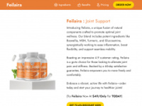 feilaira-us.com