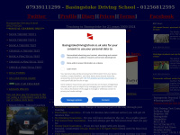 basingstokedrivingschool.co.uk