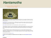 hantsmoths.org.uk Thumbnail