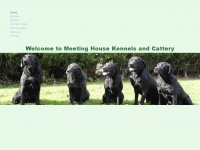 meetinghouse-kennels.co.uk