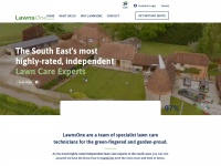Lawnsone.co.uk