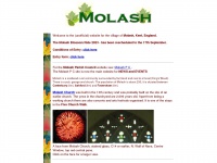 molash.com Thumbnail