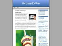barryoneoff.wordpress.com Thumbnail