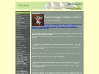 jacaranda-flowers.com