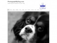 photographmydog.com