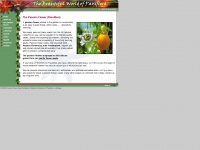 passiflora-uk.co.uk Thumbnail